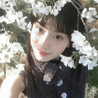 今夜林中无人入睡